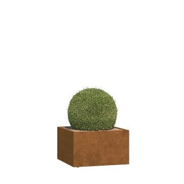 Jardinière - Mantua Medium - acier corten