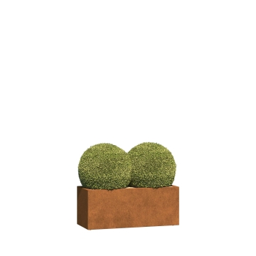 Jardinière - Pavia Mini - acier corten