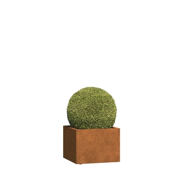 Jardinière - Triest Medium - acier corten