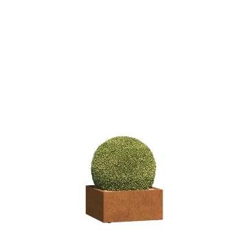 Jardinière - Triest Mini - acier corten