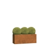 Jardinière - Ancona Medium - acier corten