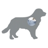 Sonnette Chien ''Balu'' Grise