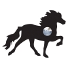 Sonnette Cheval Toelter Noire