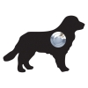 Sonnette Chien ''Balu'' Noire