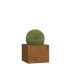 Jardinière - Mantua Maxi - acier corten