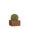 Jardinière - Mantua Medium - acier corten