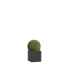 Jardinière fibre de verre Alife Nano