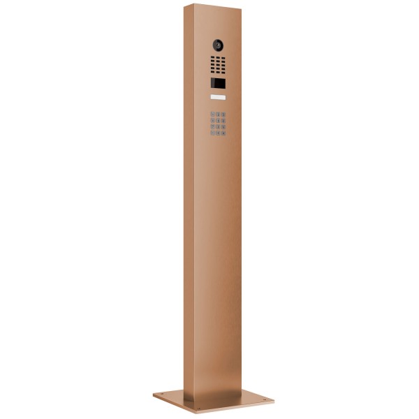 Interphone avec Keypad module et support Smart Doorbird D1101KV en aspect bronze