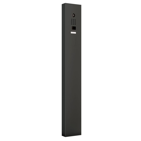 Interphone avec support Smart Doorbird D1101V en noir graphite