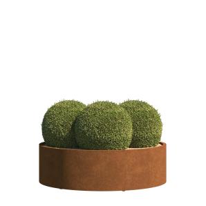  Jardinière Terni